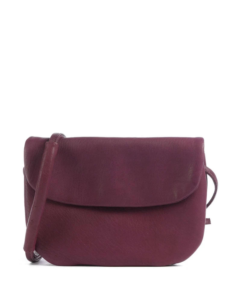 Harold's Cufu Bandolera grape