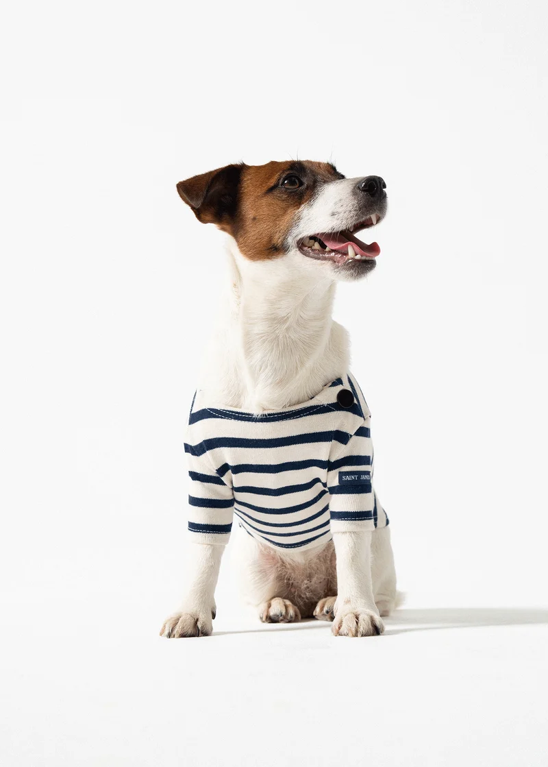 Camisa Bretona para Perros Toutounière (ECRU/MARINE)