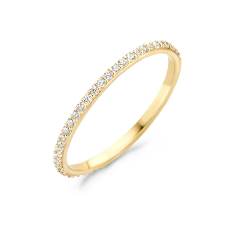 Blush 14 Karaat Gouden Ring1201YZI/46 (Maat: 46)