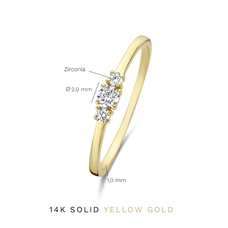 Isabel Bernard Rivoli Esmée 14 karaat gouden ring IB330050-50