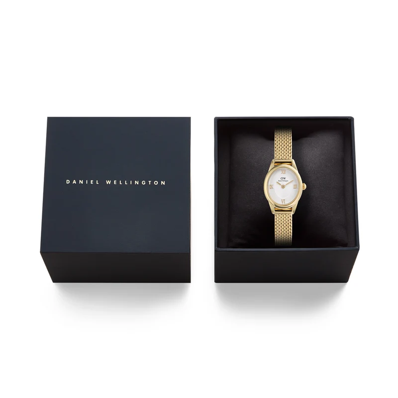 Daniel Wellington Ophelia Mini Mesh Witte Goudkleurige Dameshorloge DW00100939