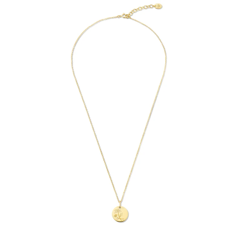 Violet Hamden Venus 925 Sterling Zilveren Gold Plated Ketting met Geboortebloem VH340025-FEB