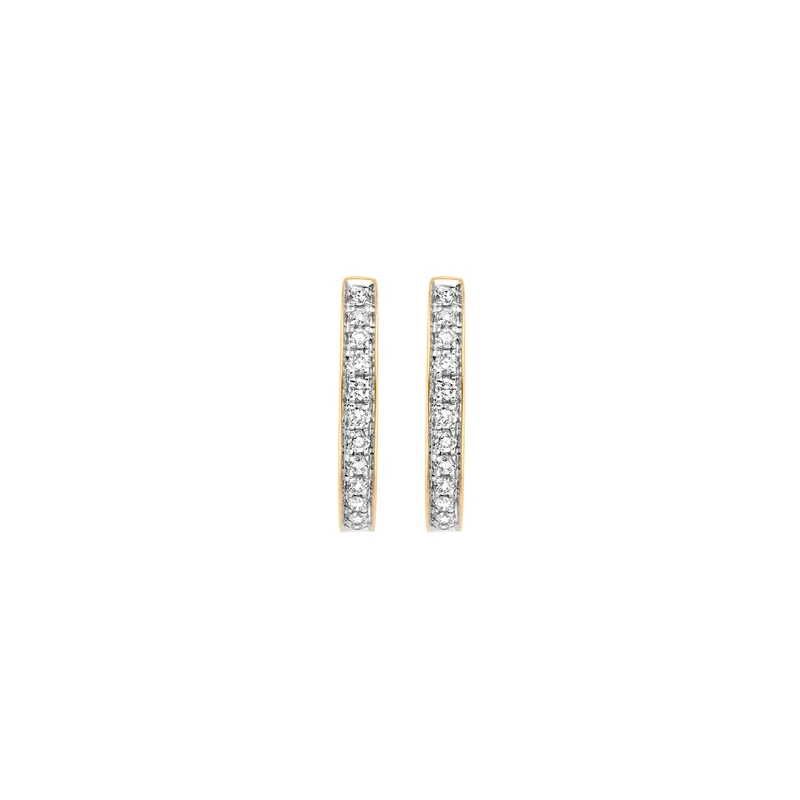 Blush Diamonds 14 Karaat Gouden Oorbellen Met Diamant 7612BDI