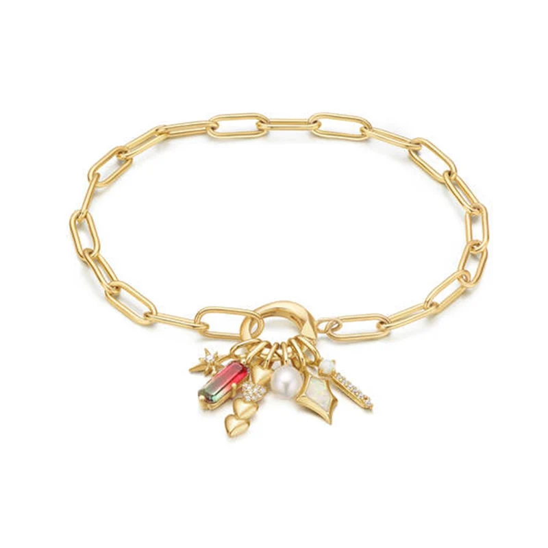 Ania Haie Pop Charms Gold Coloured Charm AH-NC048-01G