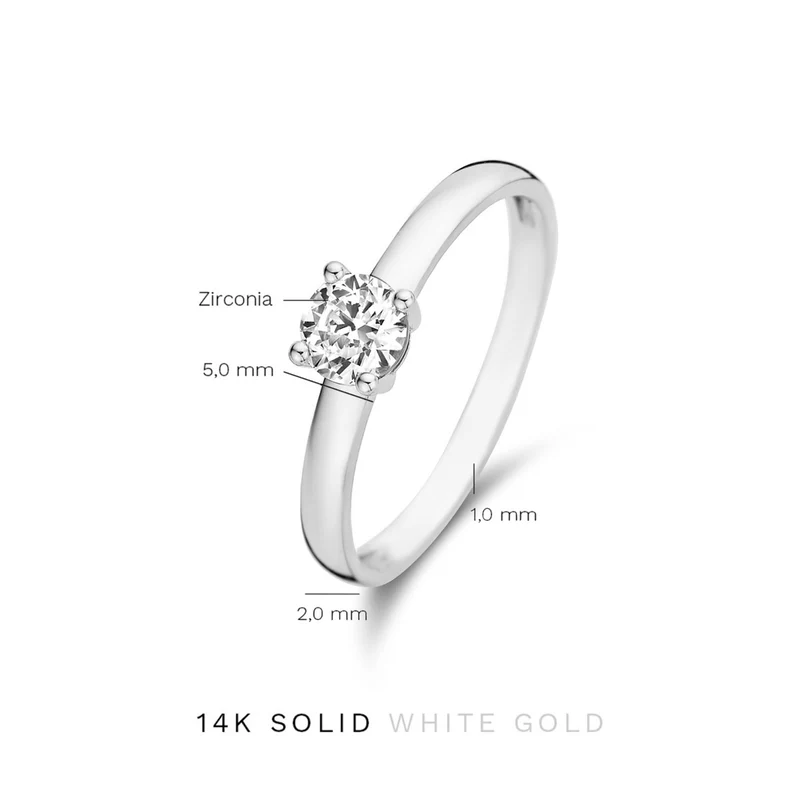 Isabel Bernard Saint Germain Soleil 14 Karaat Witgouden Ring IB330072-50 (Maat: 50)