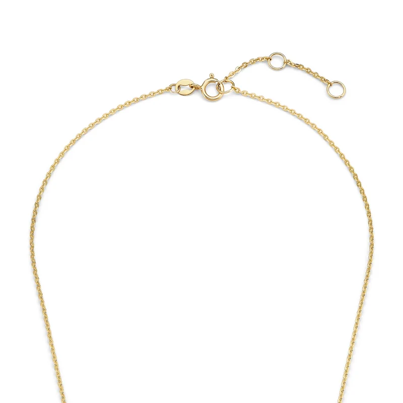 Isabel Bernard Le Marais Enlace 14 karaat gouden ketting IB340177