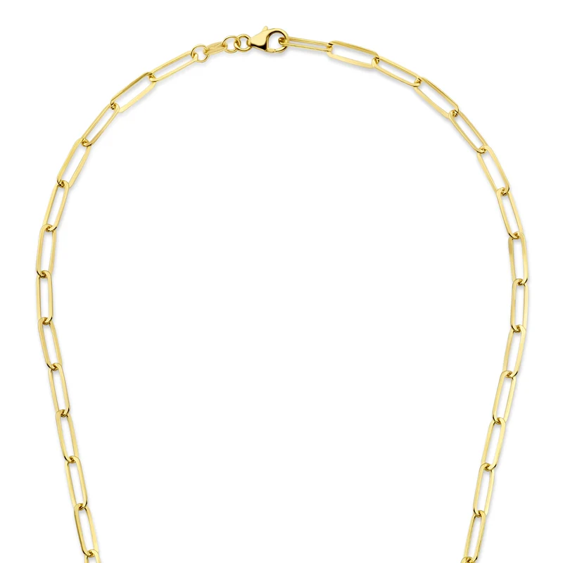 Parte Di Me Bibbiena Poppi Felice 925 Sterling Zilveren Gold Plated Schakelketting PDM34092