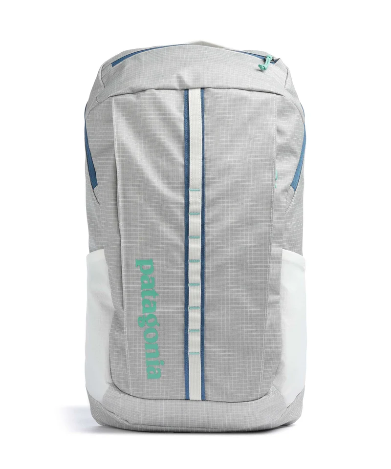 Patagonia Black Hole 25 Mochila birch white