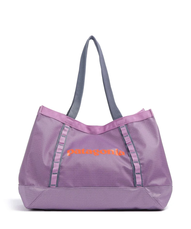 Patagonia Black Hole 25 Bolsa shopping brisk purple